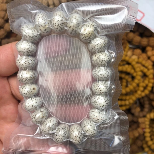 星月算盘光珠14mm左右海南原生态星月菩提