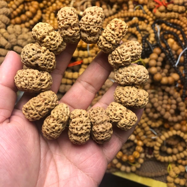 夹板大金刚尼泊尔高货夹板大饼籽24mm