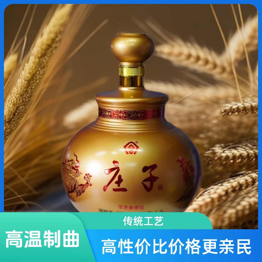 庄子原浆20酒 辉煌腾达 高度浓芝兼香型白酒53%Vol2500ml*1坛装