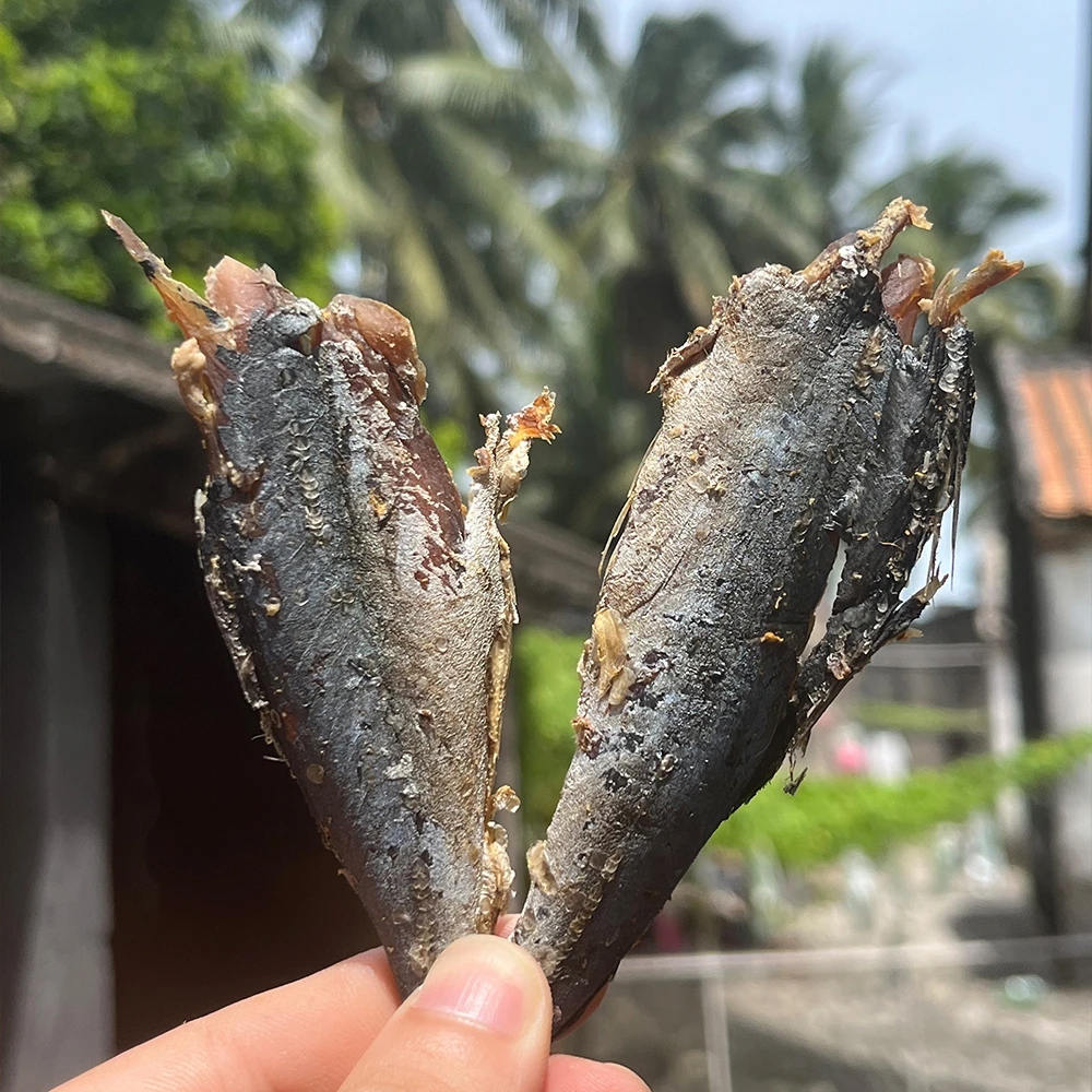 文昌本港【熟晒灯光鱼肉片 】（竹池鱼）一斤~两斤装 油煎清蒸炖肉