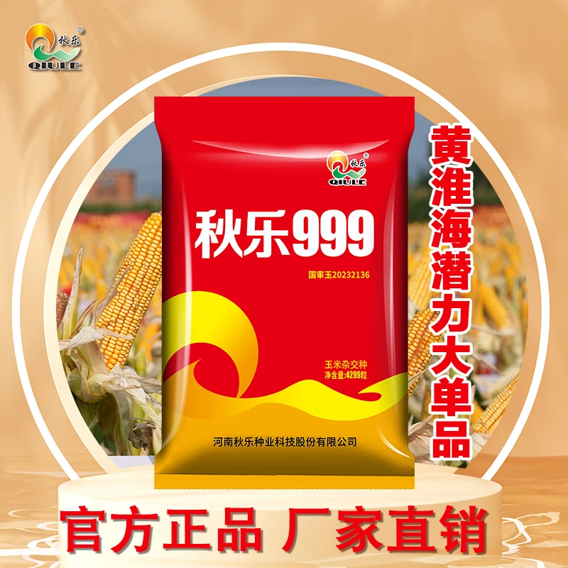 【秋乐999到手10袋】最新国审玉米种子强抗倒一粒封顶正品棒大穗均