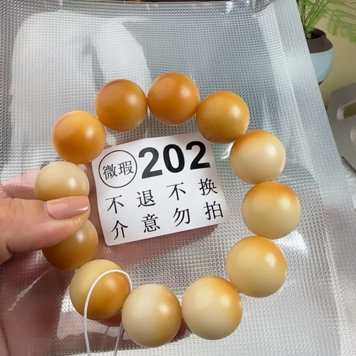 菩提根/象牙果手串