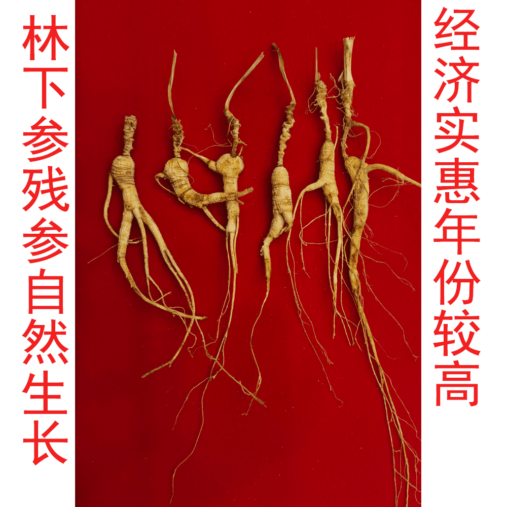 长白山正宗人参生晒参干林下参籽参直播卖货残参打粉3元一克食用