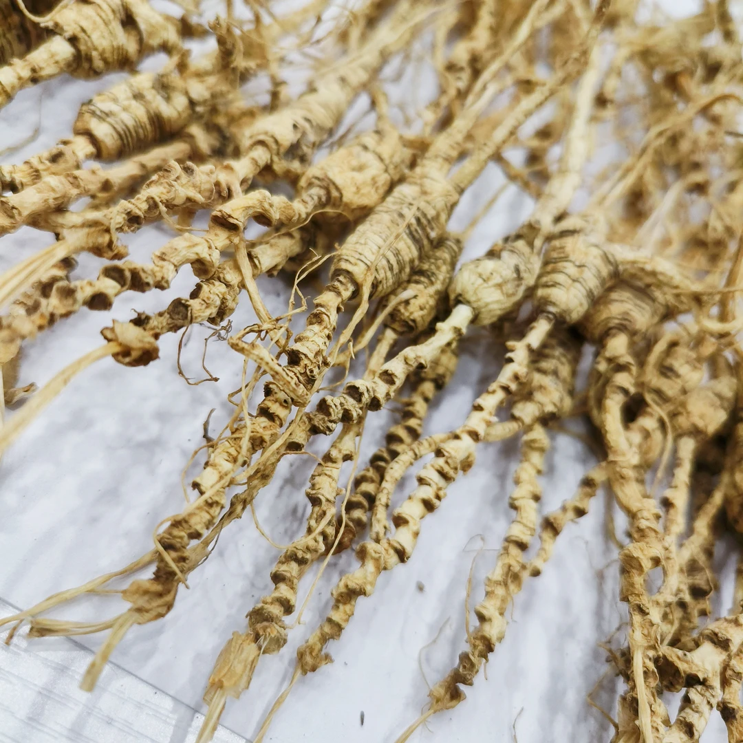 人参生晒参干参高年份