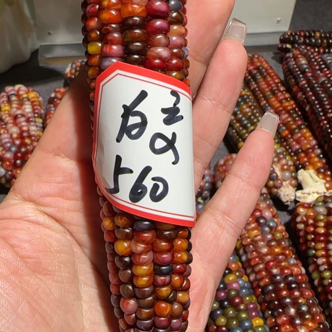 【闪购商品】金****?文玩玉米毛料