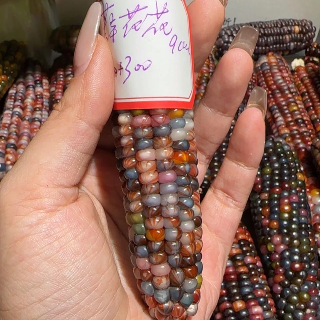 【闪购商品】薛**文玩玉米毛料定制