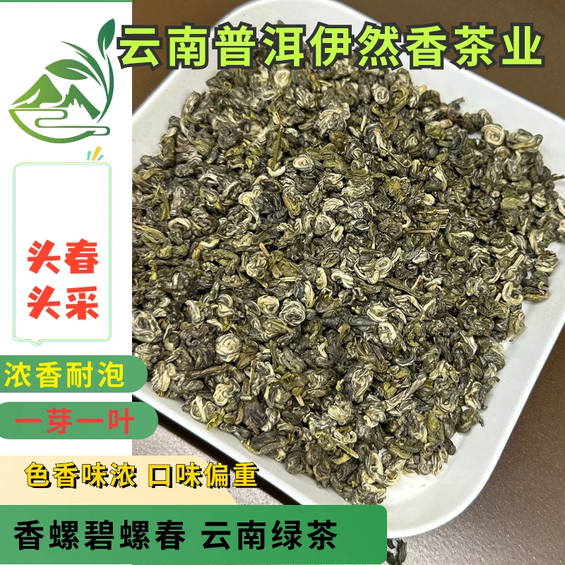香螺碧螺春 浓香耐泡云南高山绿茶250克／500克