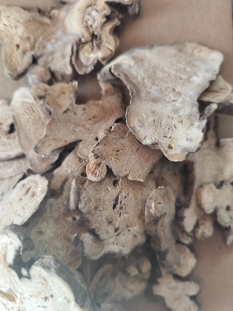 甘肃高原正品，优质野生白术片