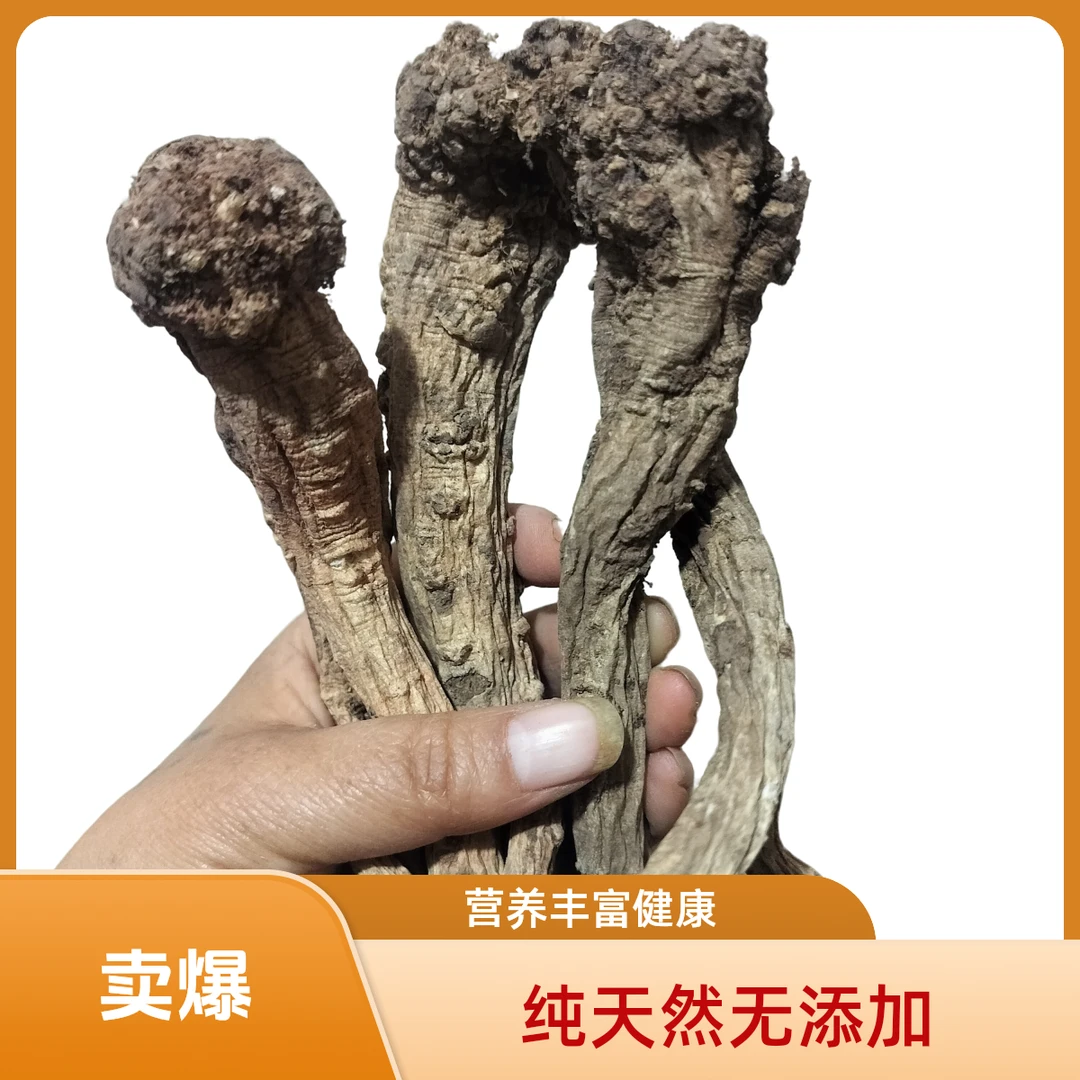 高海拔~甘肃野党生250克自然晒干无硫煲汤佳品