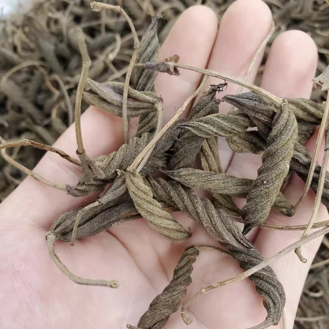 【现收山货】现收山货【虫草王】