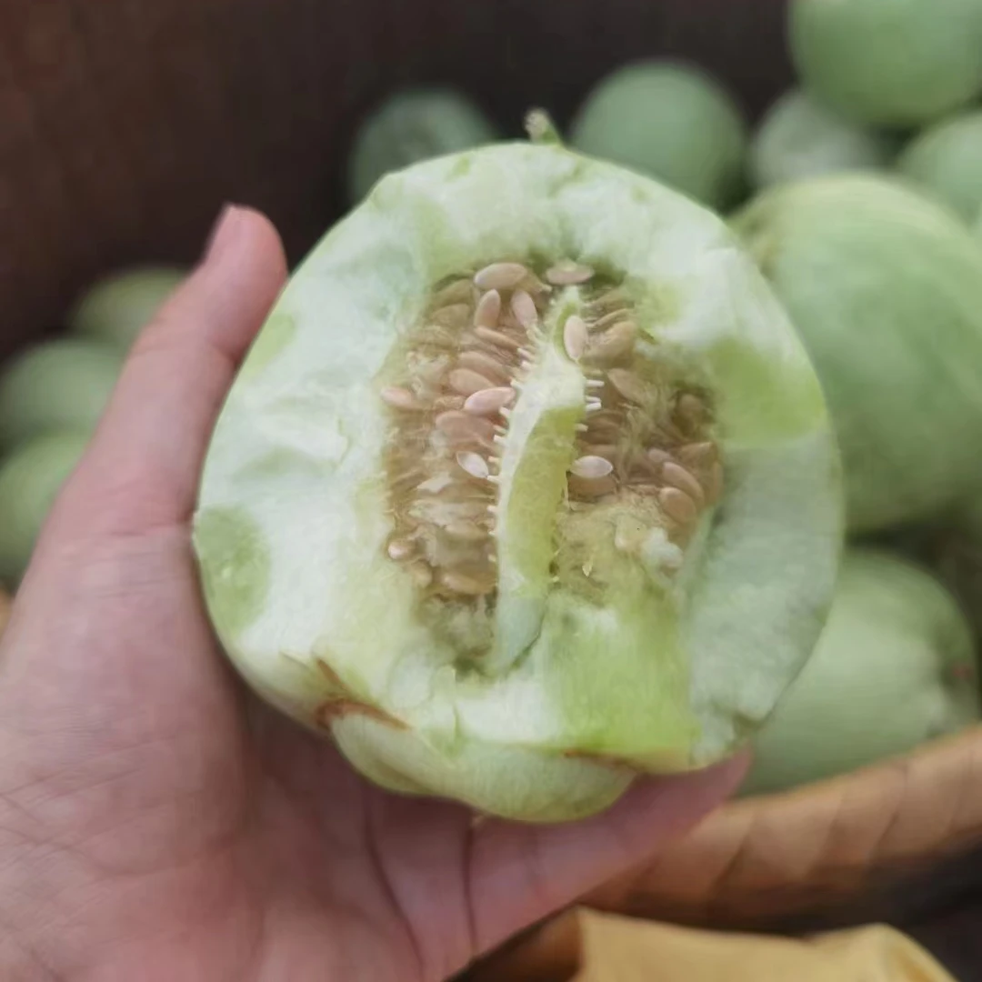 [直播专享】攸县梨瓜农民自种小甜宝 脆甜五斤装包邮