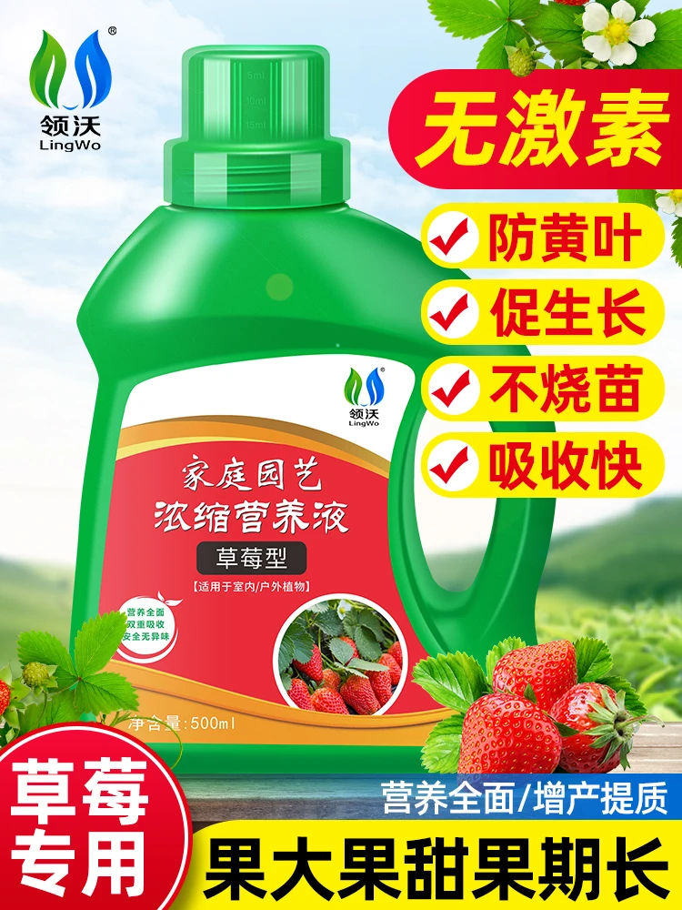 【草莓专用肥】营养液家用植物盆栽蔬果膨果大增甜有机化肥水溶肥
