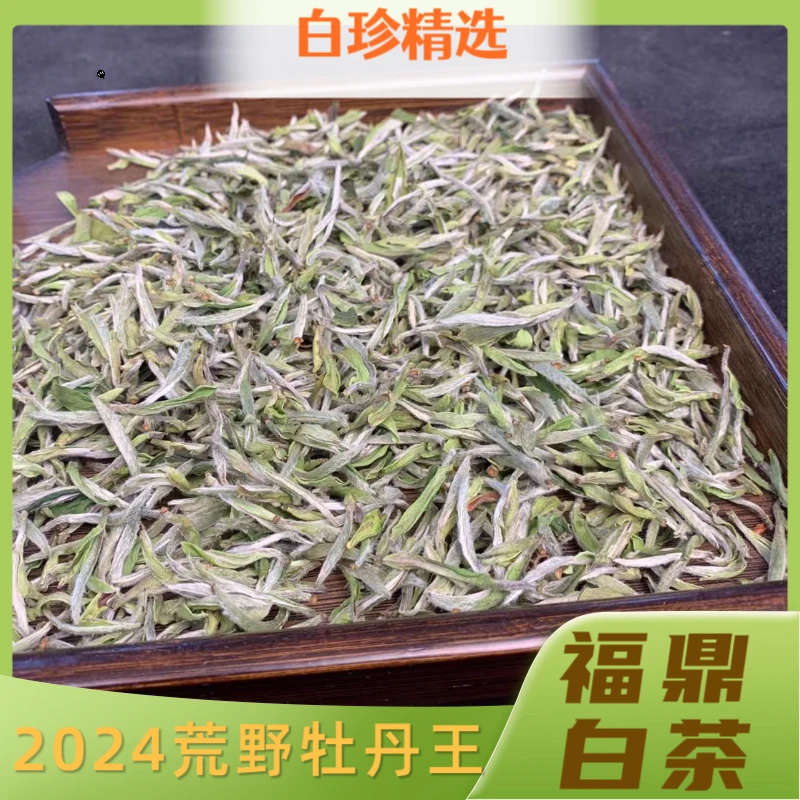 2024年福鼎白茶荒野特级白牡丹牡丹王