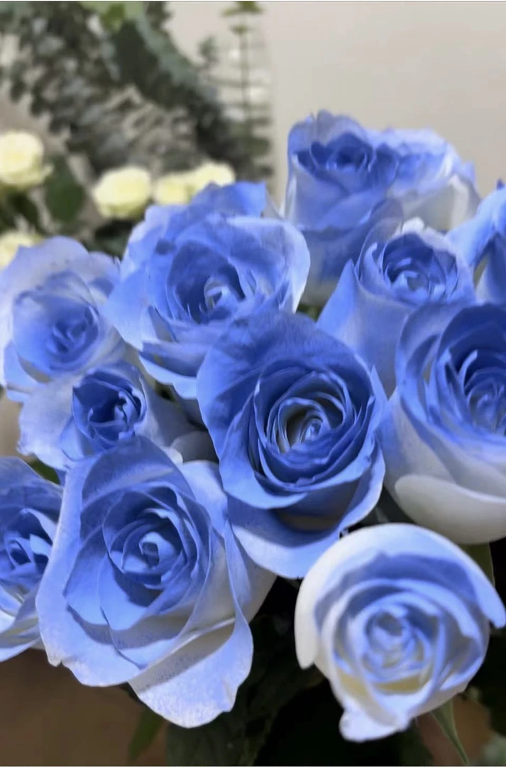 11支碎冰蓝玫瑰花束广州市内配送