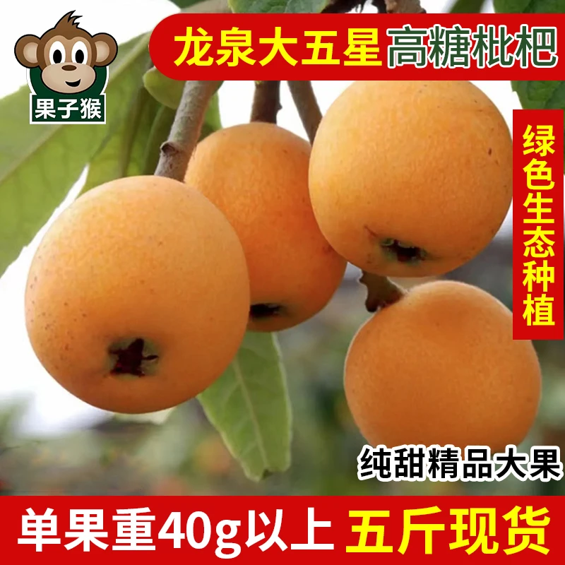 爆甜！四川龙泉驿枇杷大五星高山生态枇杷新鲜采摘礼盒装精品大果