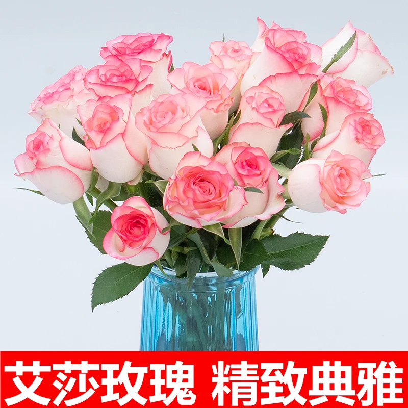 艾莎玫瑰云南昆明基地直发斗南水养花母亲节送人礼物包邮百合套餐