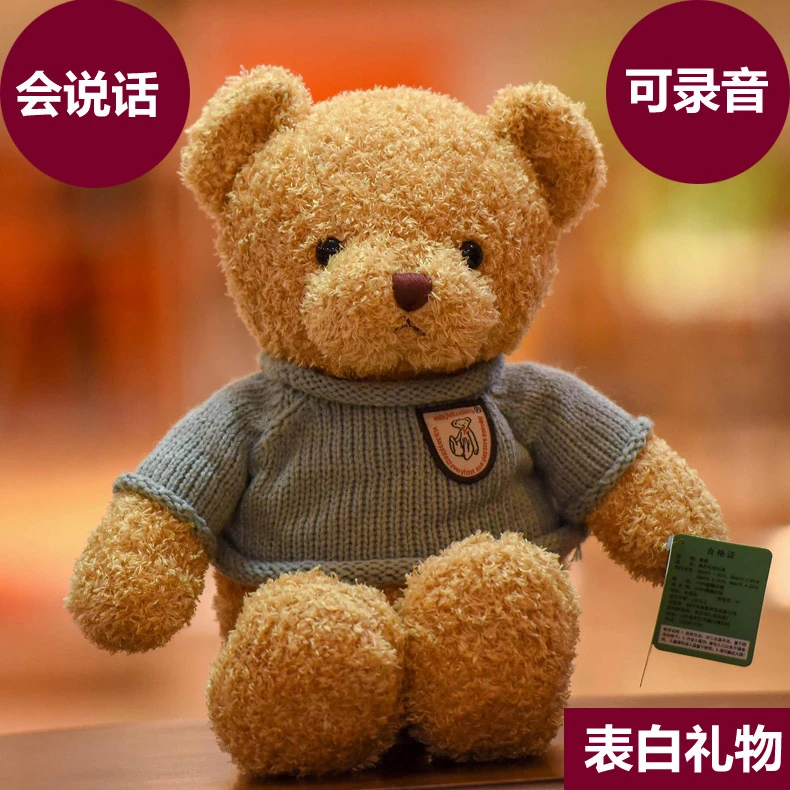 全国新疆西藏包邮七夕礼物录音表白泰迪熊毛绒玩具会说话道歉礼物
