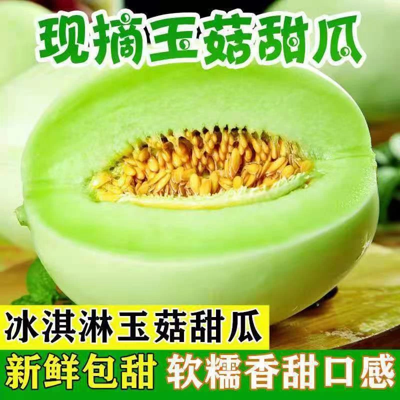 玉菇甜瓜蜜瓜新鲜水果批发当季脆玉茹香瓜哈密瓜羊角蜜肉厚皮薄