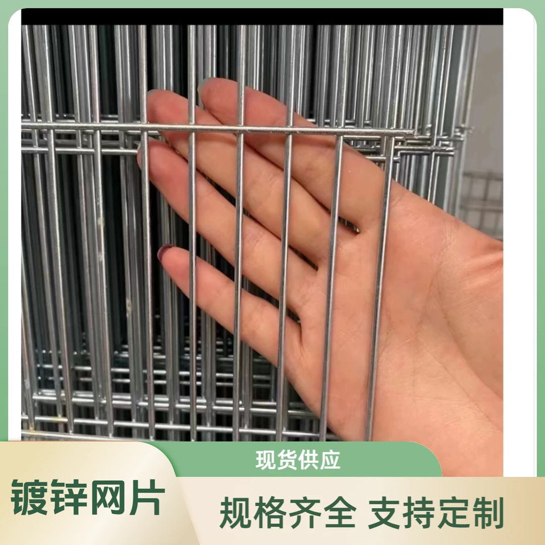 1.2*10公分鸽舍围网（5-8张起邮）耐用定制铁丝网现货