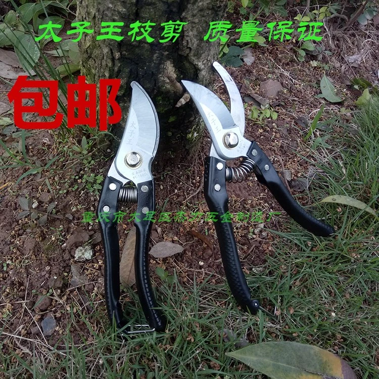太子王枝剪园林嫁接工具剪刀铁柄剪修花剪树枝剪SK-5家用多功能