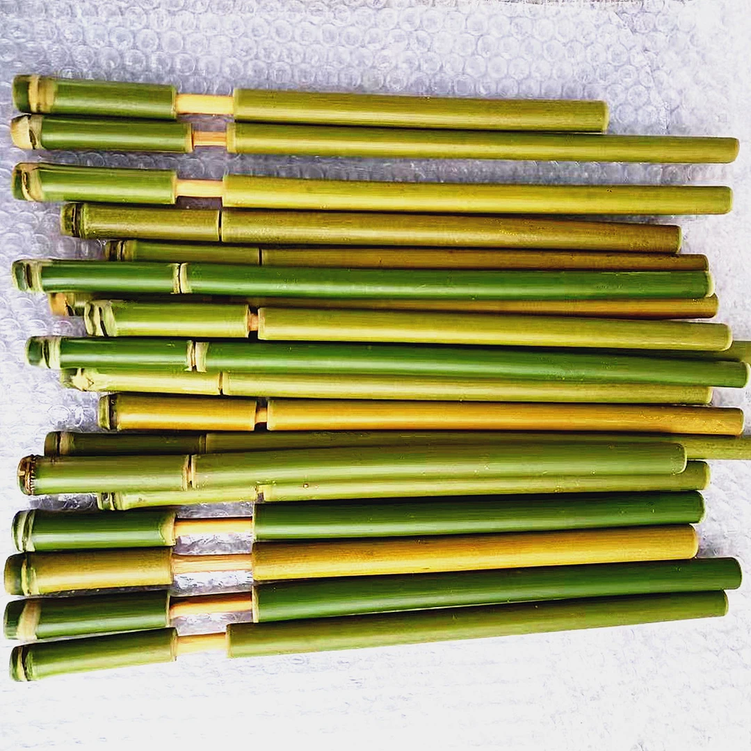 80后怀旧玩具噼啪筒 手工竹筒枪 经典儿童玩具 纸团发射器 竹玩具