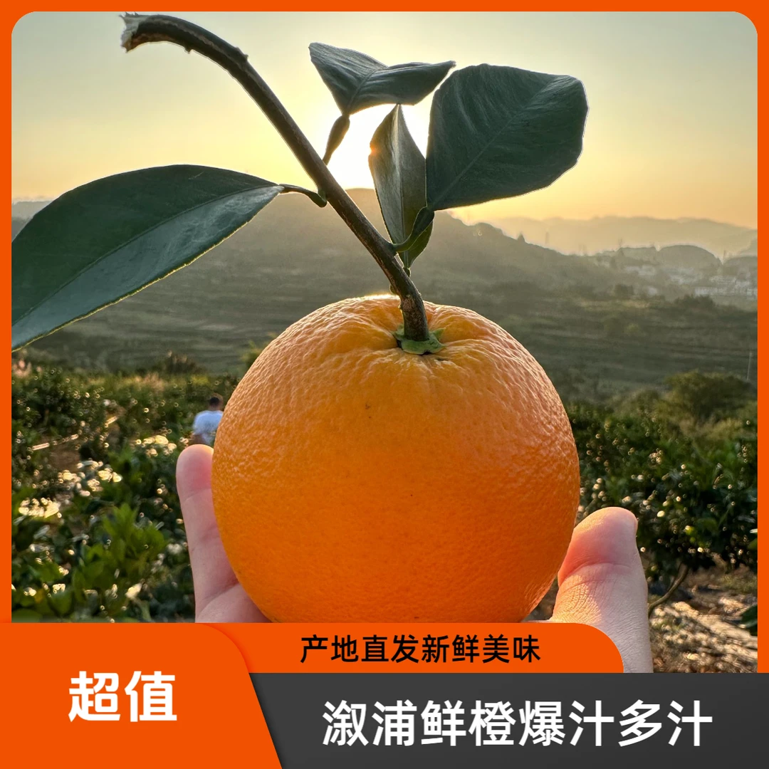 【正宗湖南溆浦大江口纽荷尔】鲜橙香甜爆汁产地鲜果现摘直发10斤装