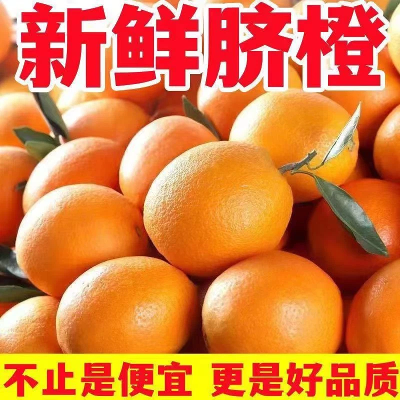 【新鲜采摘】正宗赣南脐橙新鲜水果当季手剥脆嫩好橙子赣州产地直