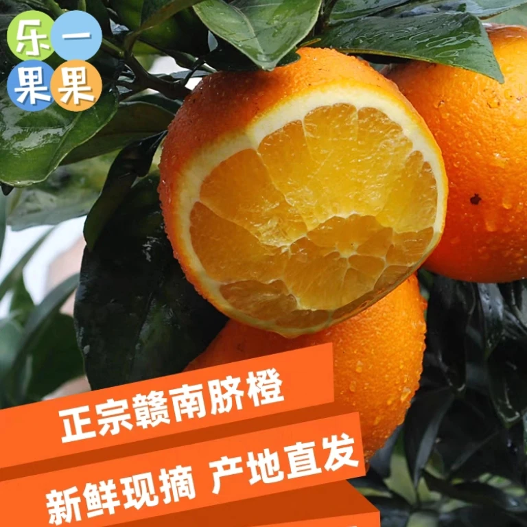 【产地直发】正宗赣南脐橙新鲜橙子现摘应季水果香甜多汁爆汁自然
