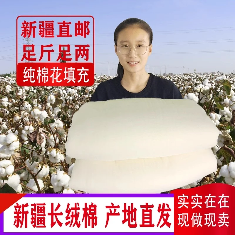 4斤5斤专拍2024年新疆长绒棉被纯棉被子被芯棉絮床垫被褥子手工被