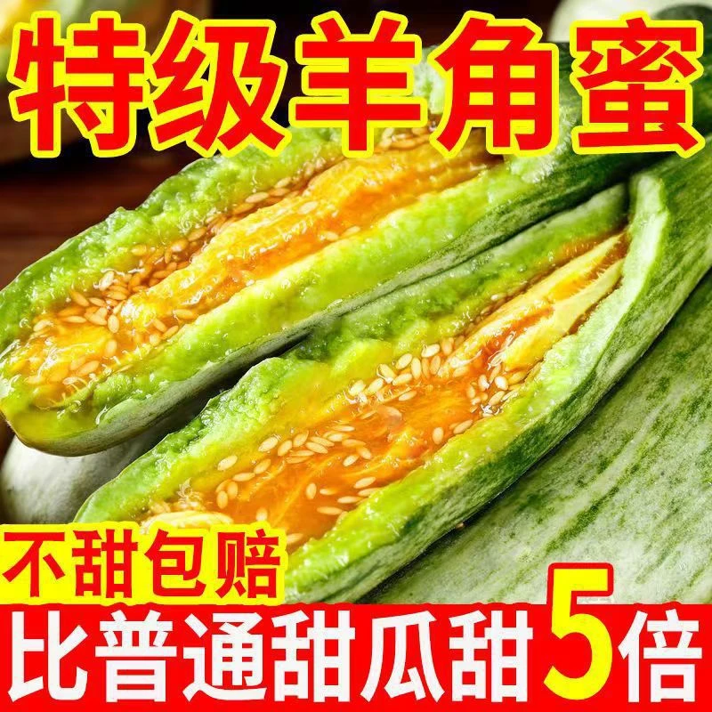 【云南头茬羊角蜜】正宗博洋羊角密甜瓜新鲜现摘应季水果脆甜甜瓜