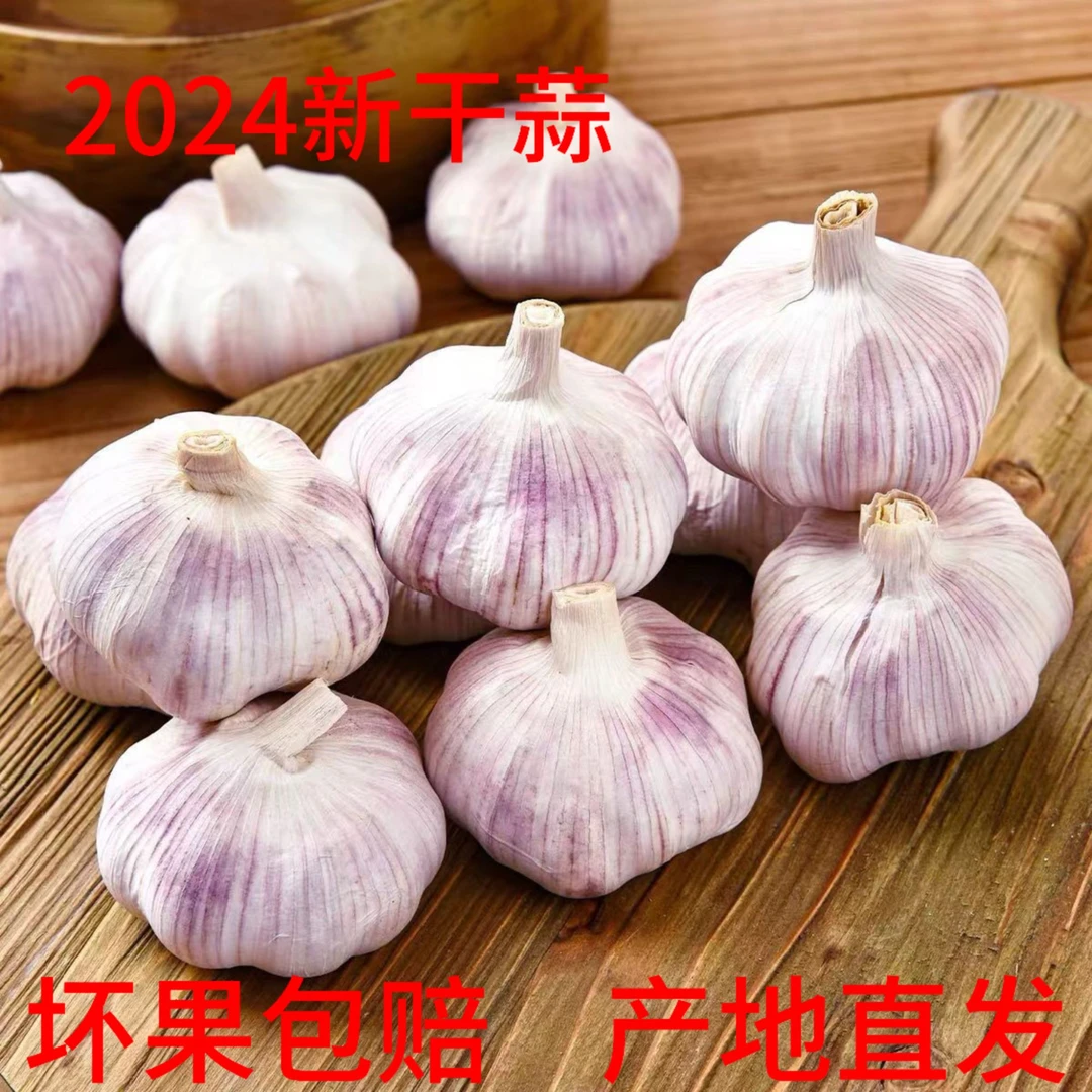 【新粉浮力】农家新干蒜头河南大蒜可种紫白皮蒜大蒜1斤3斤5斤蒜种