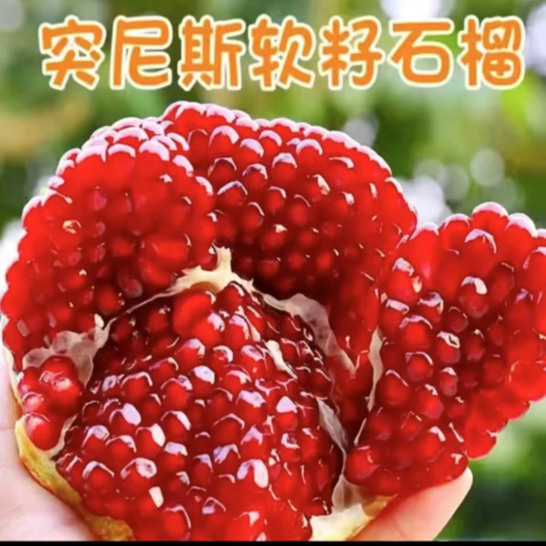 QQ正宗四川突尼斯软籽石榴会理石榴新鲜应季水果孕妇不吐籽石榴