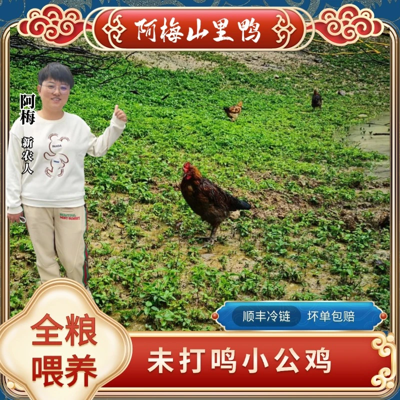 （两只）未打鸣小公鸡孩子爱吃汤鲜肉嫩养足120天 包冰率不含冰