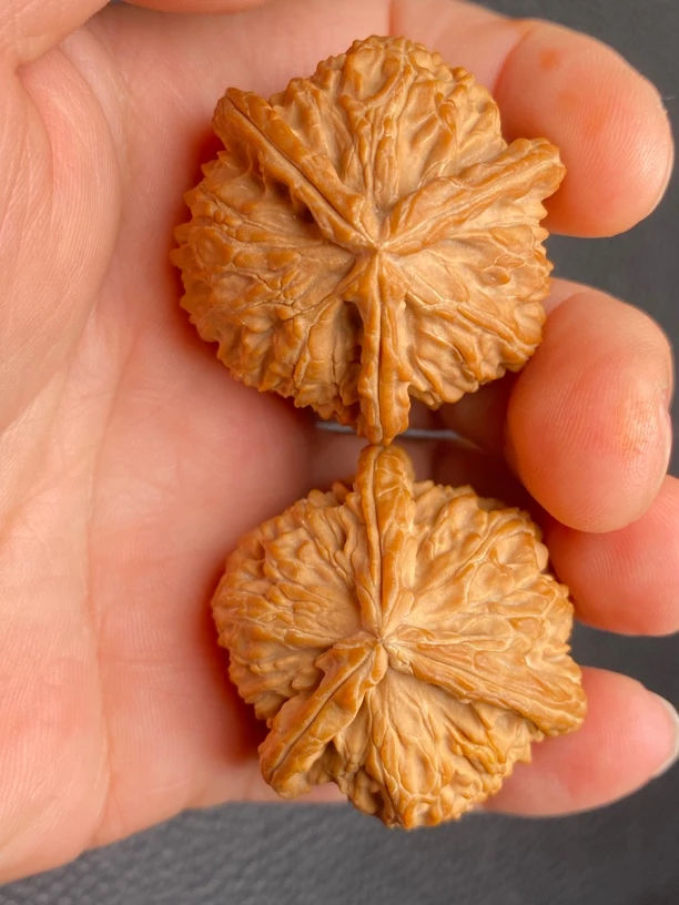 文玩核桃狮子头收藏品，40白狮子正奔三棱，各种精品四棱异型