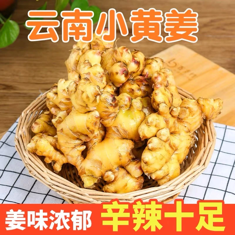 【新鲜现挖】云南小黄姜新鲜老姜产地直发姜香味浓郁辛辣味足月子姜