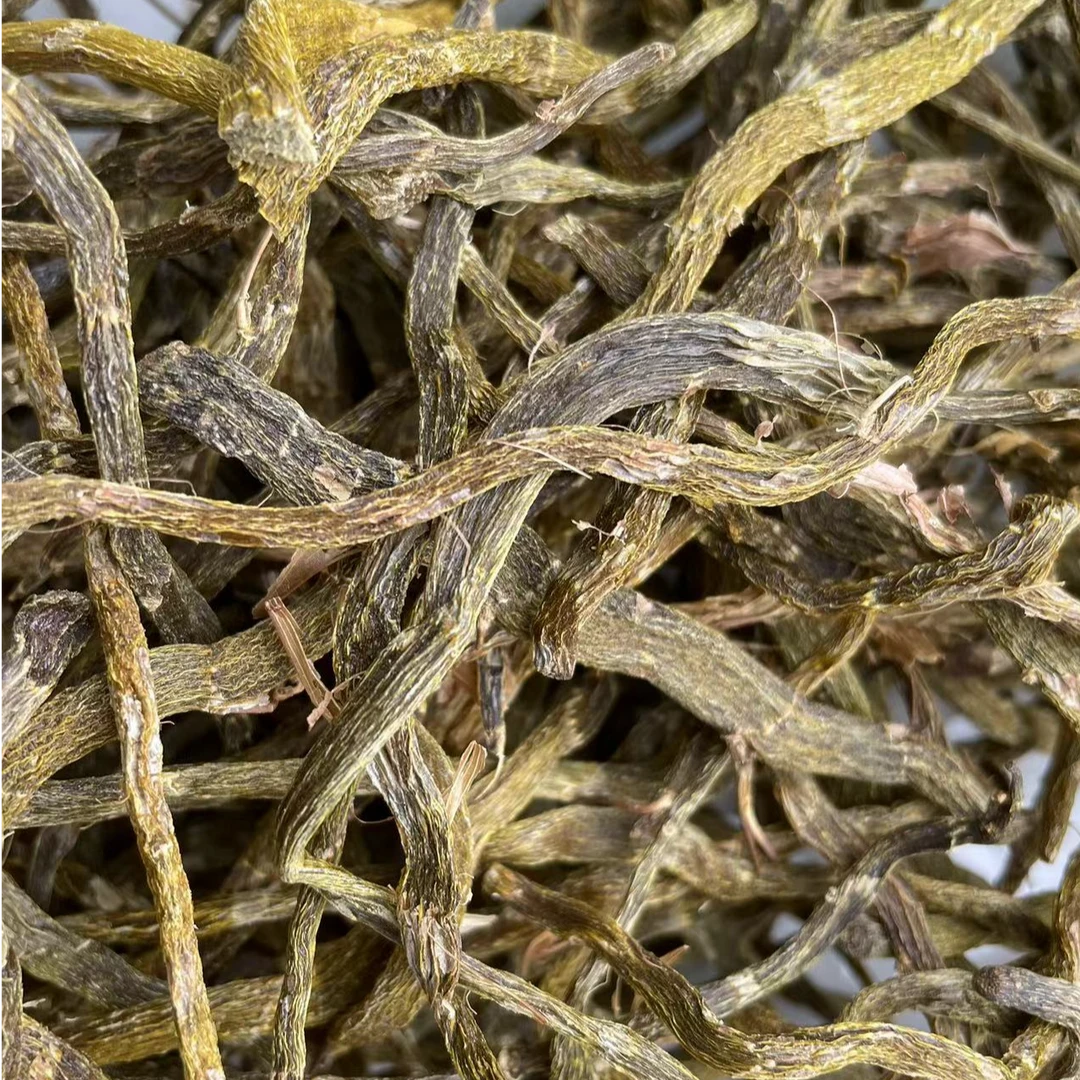 云南野生珍虫石斛