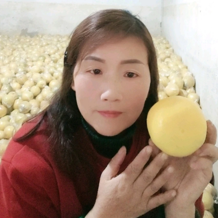 正宗产地直供皮薄爆汁清甜爽口10斤装精品果坏果包赔常山胡柚