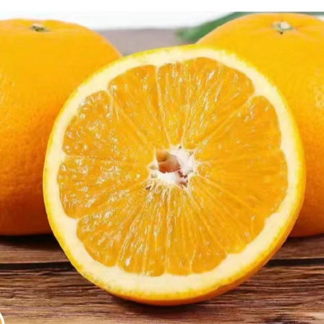 常山胡柚自产自销果园直发10斤装小果皮薄多汁鲜嫩美味坏果包赔