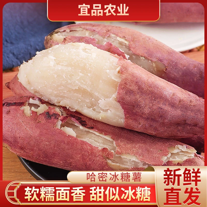 【哈密冰糖薯】宜品农业绿色白心红薯番薯粉糯香甜5斤冰糖心薯