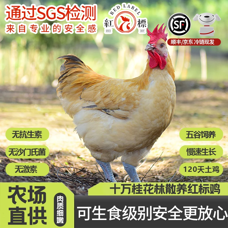 红标鸡可生食刺身级别生鸡肉1.1KG肉质紧实鲜嫩多汁无激素鲜美