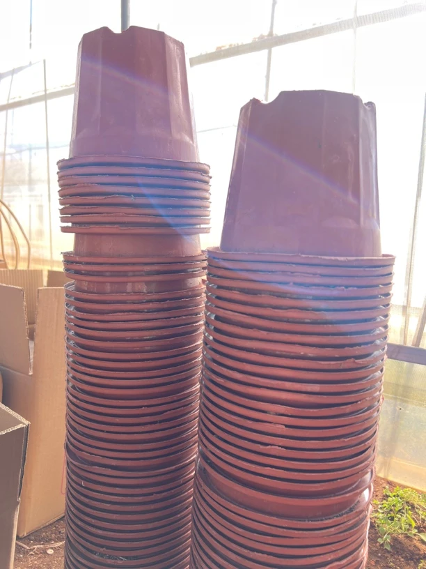 多肉旧花盆 18口径14高度 红砖圆盆10个