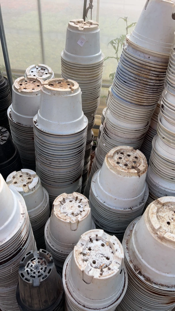 双12塑料旧花盆 14口径10高 白圆盆（50个）