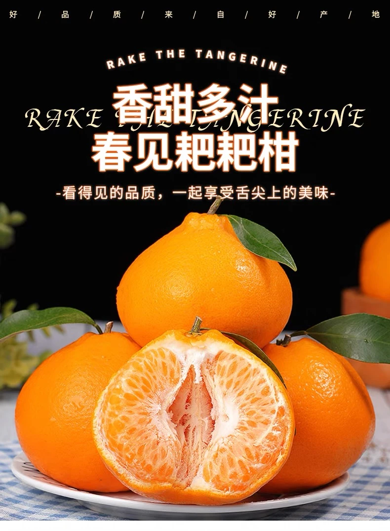 【坏果包赔】正宗四川春见耙耙柑新鲜成熟皮薄橙红中果发货酸甜多汁