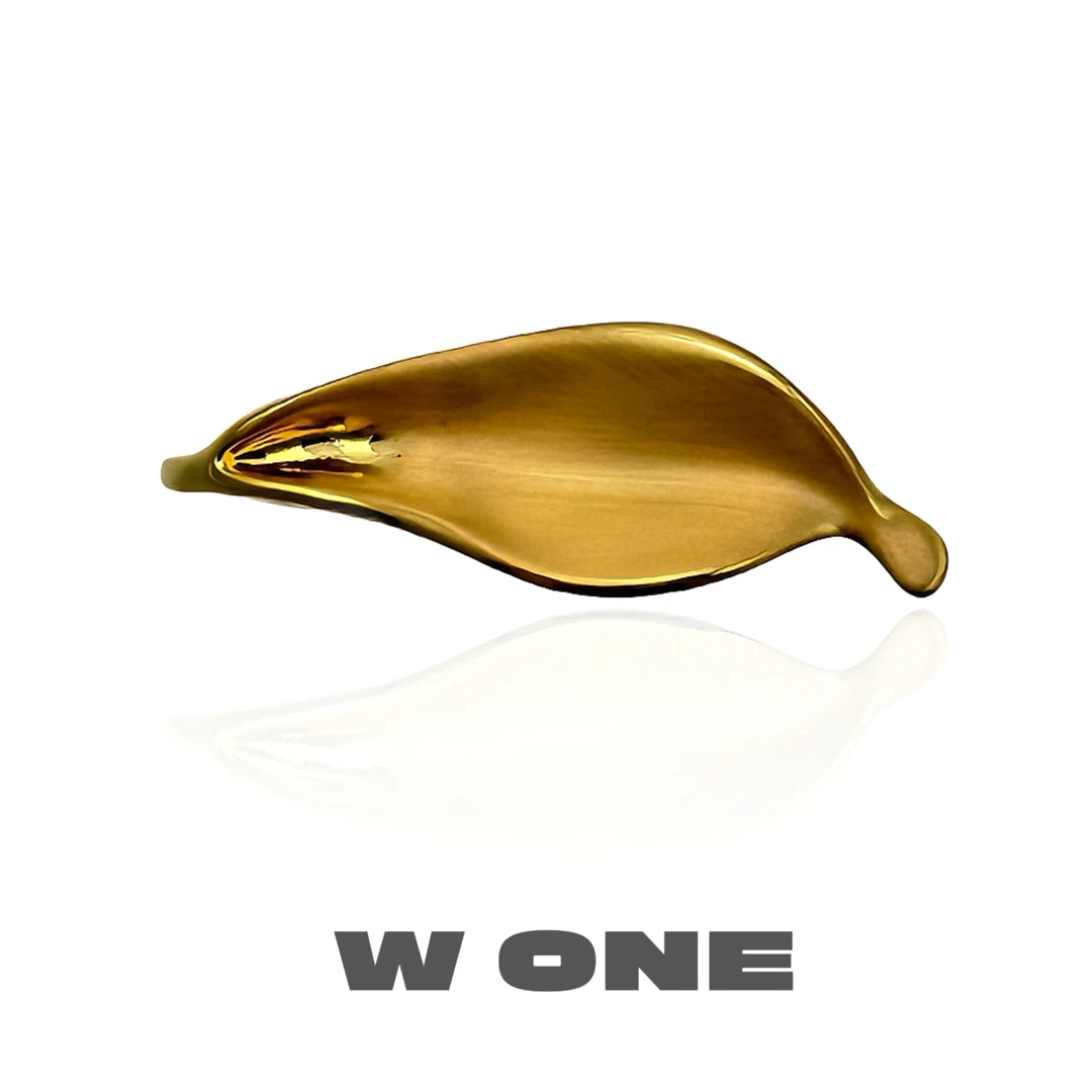 铜合金戒指 【W. ONE】小众欧美金属感树叶戒指设计感冷淡风