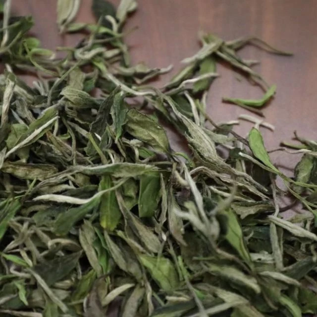 CAOMUTANG  Tea storehouse/草木堂茶仓福鼎一级牡丹2022年春散茶