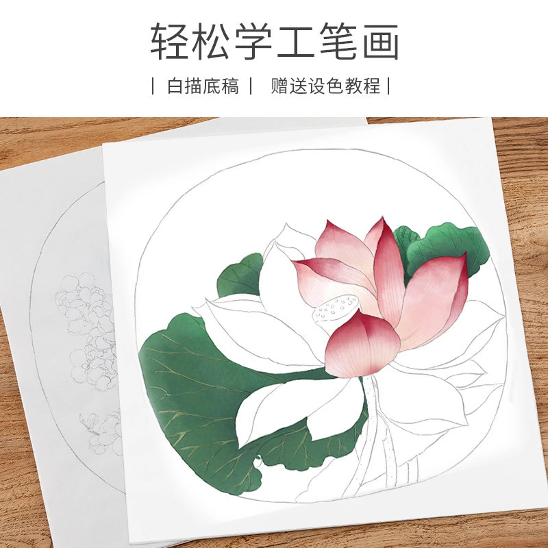 花鸟画谱白描底稿宣纸线稿 工笔画初学者入门练习临摹国画颜料