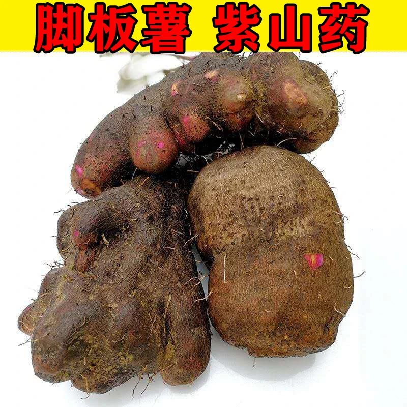 赣南紫山药脚板薯5斤装现挖农家自种蔬菜 毛薯非紫玉淮山铁棍山药