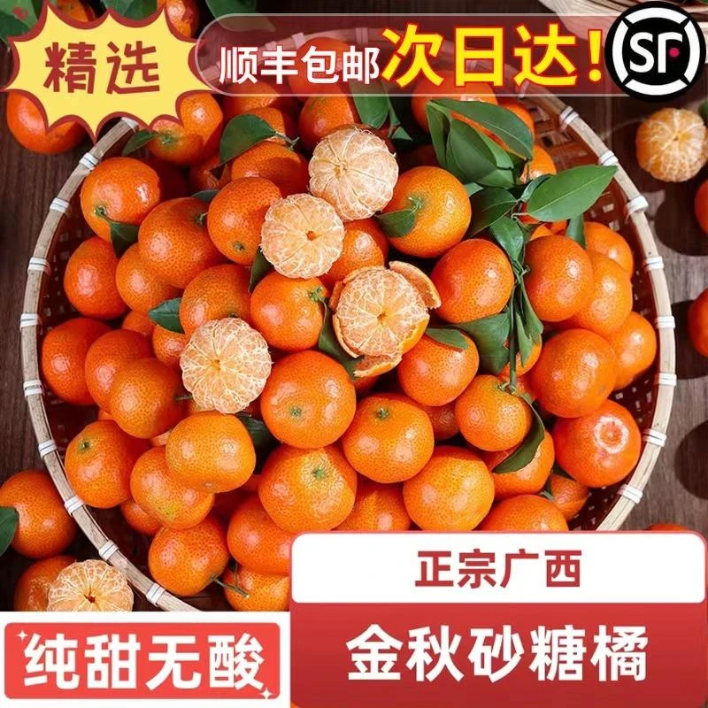 广西正宗砂糖橘新鲜采摘成熟蜜橘柑橘无籽鲜甜多汁自家果园种植发