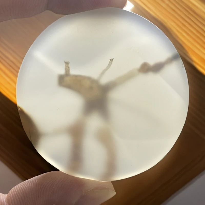 海洋玉髓管子-裁判员