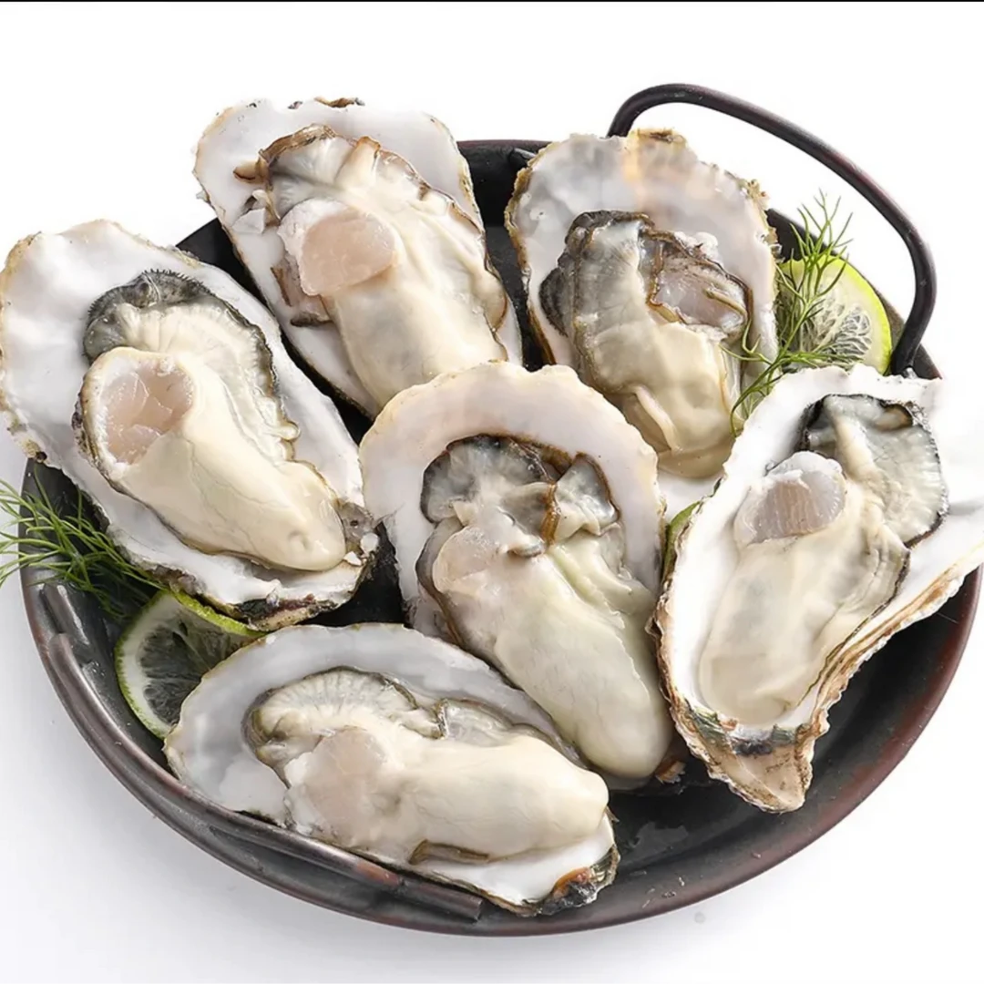 【鲜活发货】生蚝原产地新鲜鲜活大生蚝蒜蓉炭烤蒸生蚝
